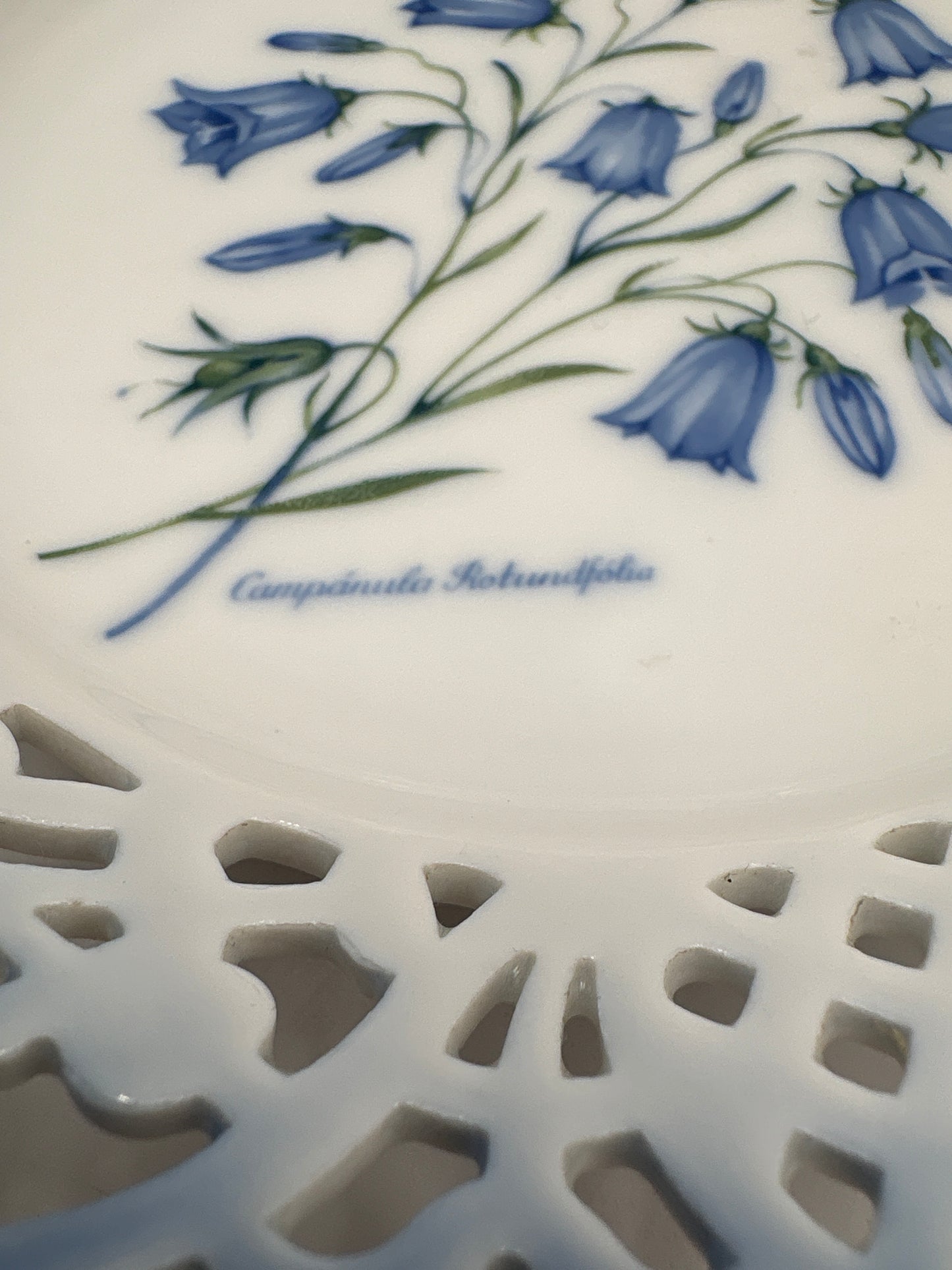 Platte fra Christineholm porcelæn med blå klokkeblomst