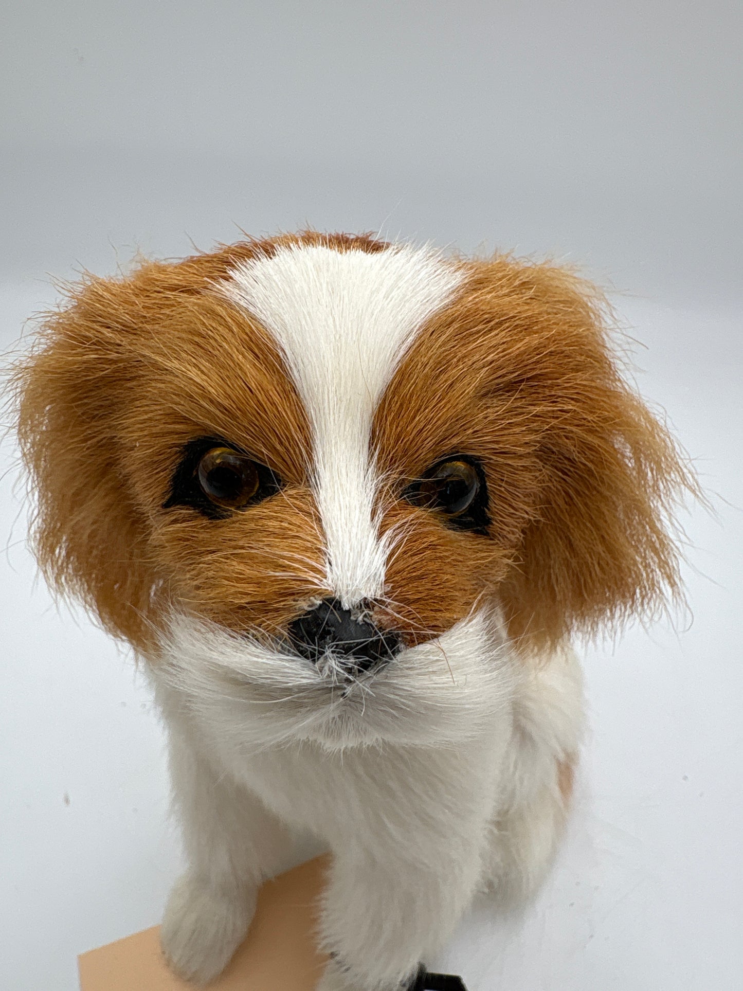 Cavalier King Charles Spaniel figur med "naturtro" pels.