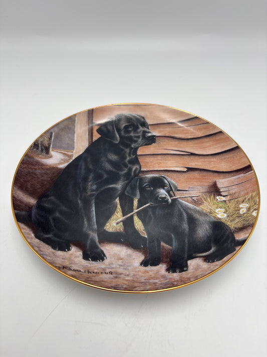 The Franklin Mint Hairloom Collection. platte nr. 909613