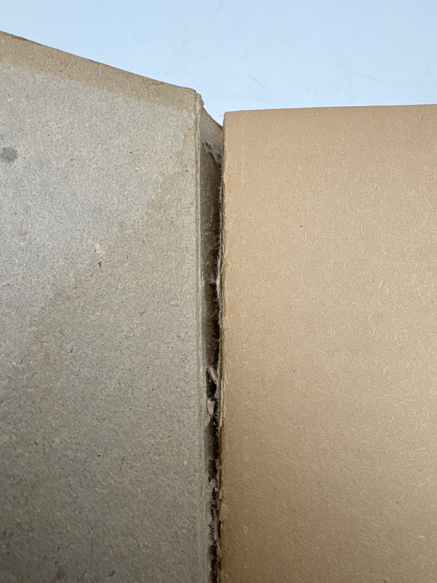 P Sørensen Fugholms's samlede digte