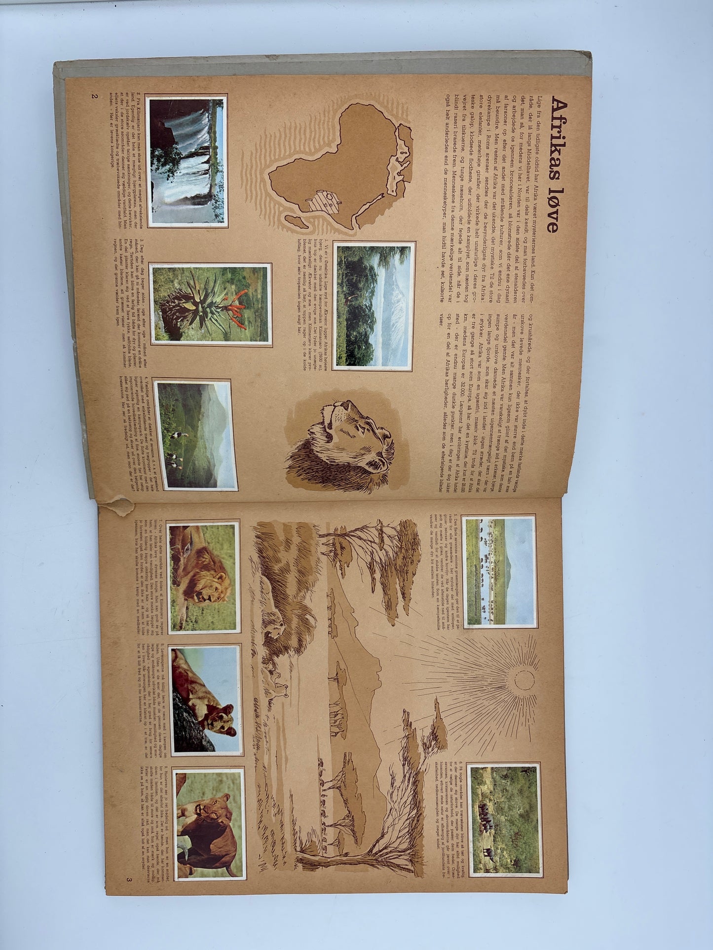 Rich's album-Fra naturens hverdag-efter Walt Disney's dyrefilm