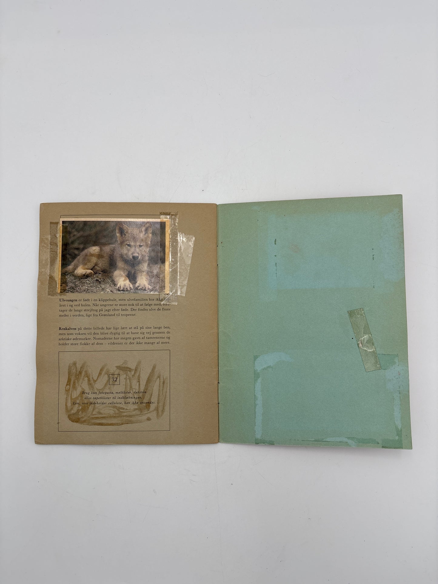 Disney-Naturens småbørn